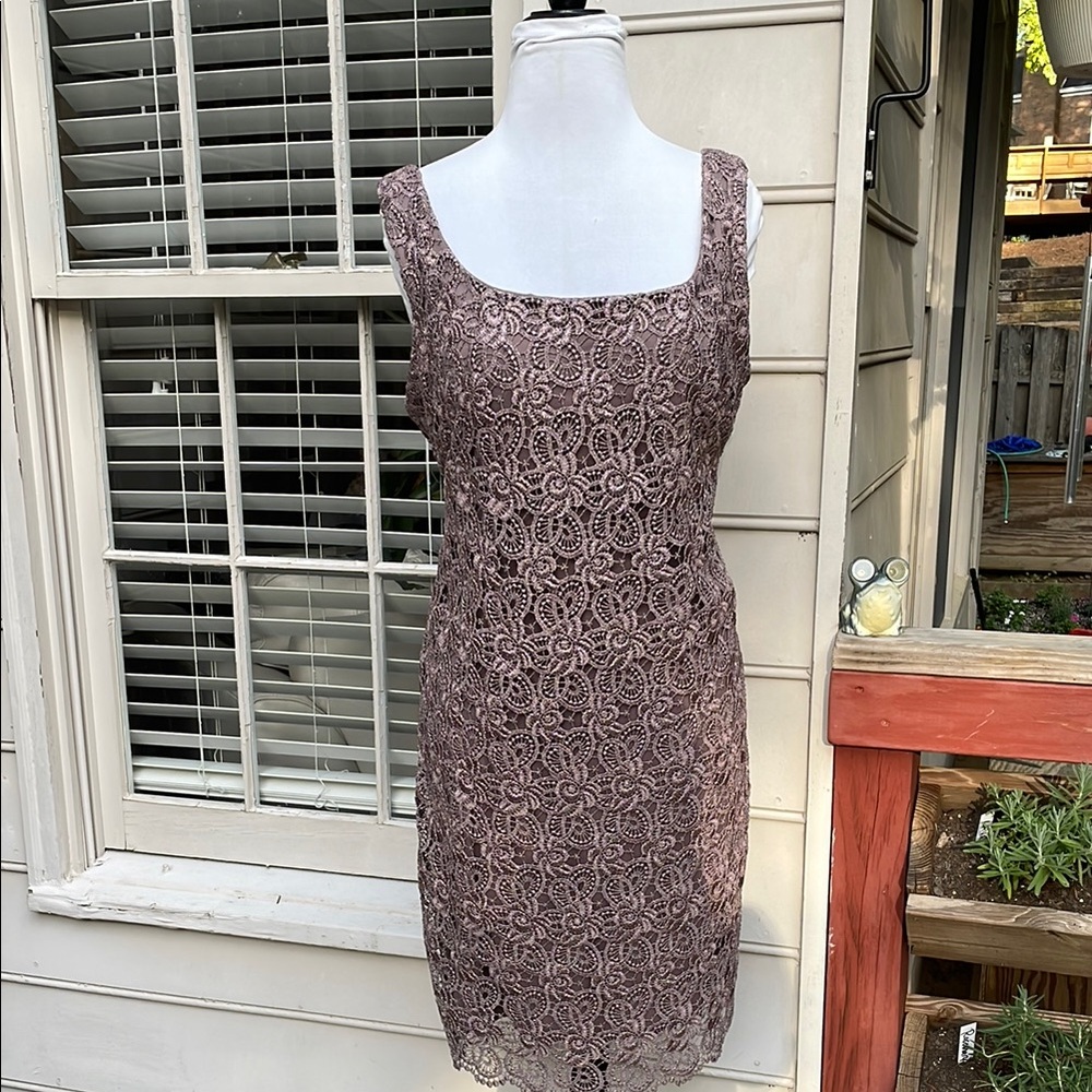 IGNITE- Evenings Luxe Lace Dress Size 16
